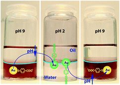 Graphical abstract: Understanding the self-assembly of charged nanoparticles at the water/oil interface