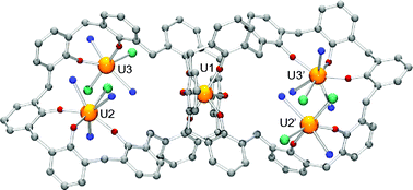 Graphical abstract: Synthesis and crystal structure of uranium(iv) complexes with calix[n]arenes (n = 4, 6 and 8): mononuclear, polynuclear and 1D polymeric species
