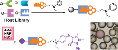Graphical abstract: On-bead screening of a library to detect host–guest complexation by an aniline reporter