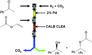 Graphical abstract: Continuous kinetic resolution catalysed by cross-linked enzyme aggregates, ‘CLEAs’, in supercritical CO2