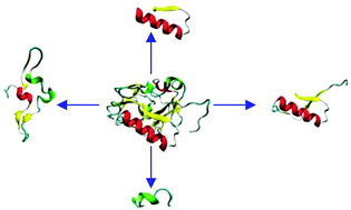 Graphical abstract: A molecular dynamics study of human endostatin and its synthetic fragments with antiangiogenic properties