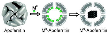 Graphical abstract: Apoferritin-encapsulated Ni and Co superparamagnetic nanoparticles