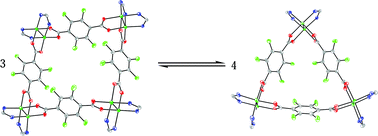 Graphical abstract: Dynamic equilibrium between cyclic oligomers. Thermodynamic and structural characterization of a square and a triangle