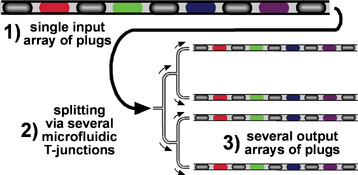 Graphical abstract: Production of arrays of chemically distinct nanolitre plugs via repeated splitting in microfluidic devices