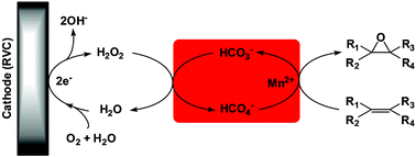 Graphical abstract: An environmentally benign catalytic system for alkene epoxidation with hydrogen peroxide electrogenerated in situ