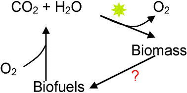 Graphical abstract: Biomass to biofuels, a chemical perspective