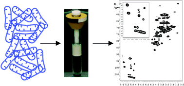 Graphical abstract: Multidimensional HRMAS NMR: a platform for in vivo studies using intact bacterial cells