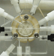 Graphical abstract: Bead injection for biomolecular assays: Affinity chromatography enhanced by bead injection spectroscopy