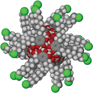 Graphical abstract: Synthesis and structural characterisation of lower rim halogenated pyrogallol[4]arenes: bi-layers and hexameric nano-capsules