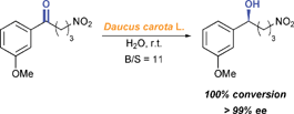 Graphical abstract: Daucus carota L. mediated bioreduction of prochiral ketones