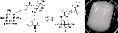 Graphical abstract: The first pamidronate containing polymer and copolymer