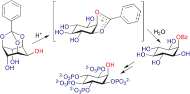 Graphical abstract: Regioselective hydrolysis of myo-inositol 1,3,5-orthobenzoate via a 1,2-bridged 2′-phenyl-1′,3′-dioxolan-2′-ylium ion provides a rapid route to the anticancer agent Ins(1,3,4,5,6)P5