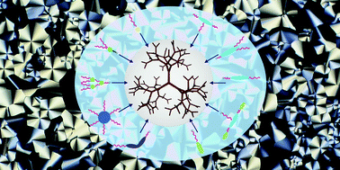 Graphical abstract: Liquid crystalline dendrimers