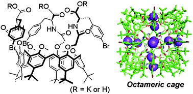 Graphical abstract: Self-assembled octameric cage constructed by the potassium salt of p-tert-butylcalix[6]arene p-bromophenylalanine derivative in the solid state