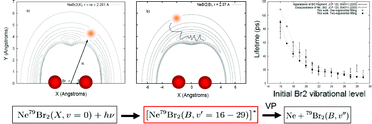 Graphical abstract: Quasi-classical trajectories study of Ne79Br2(B) vibrational predissociation