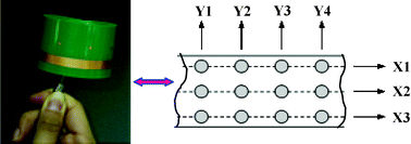 Graphical abstract: Capacitance immunosensors based on an array biotape