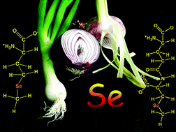 Graphical abstract: State of the art report of selenium speciation in biological samples