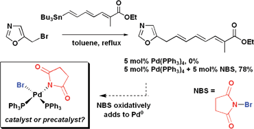 Graphical abstract: Halide and pseudohalide effects in Pd-catalysed cross-coupling reactions