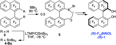 Graphical abstract: 2,2′-Disubstituted F12binaphthyl derivatives: stannanes, boranes, and (R)-F12BINOL