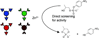 Graphical abstract: Determination of the activity of heterofunctionalized catalysts from mixtures