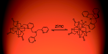 Graphical abstract: Design, synthesis and photophysical studies of an emissive, europium based, sensor for zinc