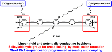 Graphical abstract: Synthesis of an elongated linear oligo(phenylene ethynylene)-based building block for application in DNA-programmed assembly