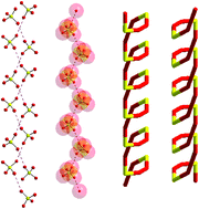 Graphical abstract: Sulfate anion helices formed by the assistance of a flip-flop water chain