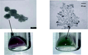 Graphical abstract: Gold fractal structures spontaneously grown in sheared lamellar phase