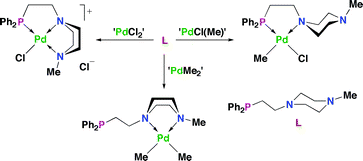 Graphical abstract: Concise syntheses of tridentate PNE ligands and their coordination chemistry with palladium(ii) : a solution- and solid-state study