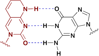 Graphical abstract: 7,8-Dihydropyrido[2,3-d]pyrimidin-2-one; a bicyclic cytosine analogue capable of enhanced stabilisation of DNA duplexes