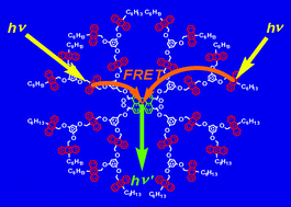 Graphical abstract: Evaluation of energy transfer in perylene-cored anthracene dendrimers