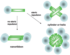 Graphical abstract: Synthesis and self-assembly of dendritic-helical block copolypeptides