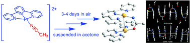 Graphical abstract: Unprecedented formation of an acetamidate-bridged dinuclear platinum(ii) terpyridyl complex—correlation of luminescence properties with the crystal forms and dimerization studies in solution