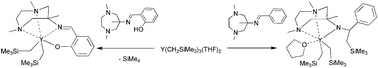 Graphical abstract: The 6-amino-6-methyl-1,4-diazepine group as an ancillary ligand framework for neutral and cationic scandium and yttrium alkyls
