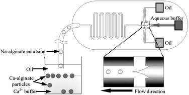 Graphical abstract: Manipulating the generation of Ca-alginate microspheres using microfluidic channels as a carrier of gold nanoparticles