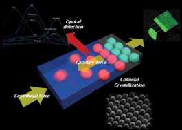 Graphical abstract: High-speed fabrication of patterned colloidal photonic structures in centrifugal microfluidic chips