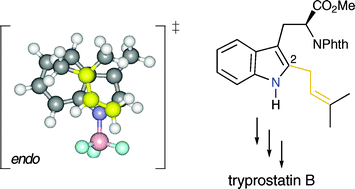 Graphical abstract: Studies in sigmatropic rearrangements of N-prenylindole derivatives – a formal enantiomerically pure synthesis of tryprostatin B