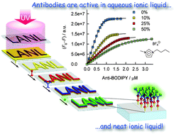 Graphical abstract: Fluorescence quenching immunoassay performed in an ionic liquid