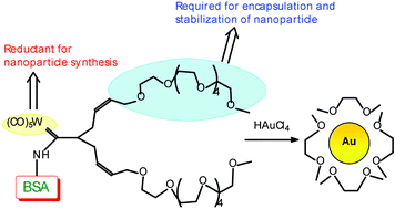 Graphical abstract: In situ generation of gold nanoparticles on a protein surface: Fischer carbene complex as reducing agent