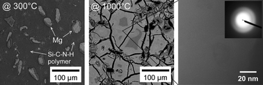 Graphical abstract: Synthesis and phase evolution of Mg–Si–C–N ceramics prepared by pyrolysis of magnesium-filled poly(ureamethylvinyl)silazane precursor
