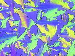 Graphical abstract: Trimeric supramolecular liquid crystals induced by halogen bonds