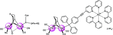 Graphical abstract: Bio-inspired, side-on attachment of a ruthenium photosensitizer to an iron hydrogenase active site model