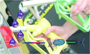 Graphical abstract: The direct analysis of fuel ethanol by ICP-MS using a flow injection system coupled to an ultrasonic nebulizer for sample introduction