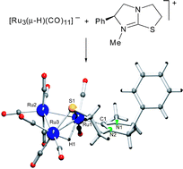 Graphical abstract: Triruthenium and triosmium carbonyl clusters containing chiral bidentate NHC-thiolate ligands derived from levamisole