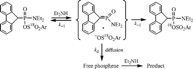 Graphical abstract: Scrambling of the label in a fluorenylphosphonamidic [18O]-sulfonate during dissociative nucleophilic substitution (elimination–addition): a measure of the importance of preassociation