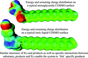 Graphical abstract: Functional dependency of structures of ionic liquids: do substituents govern the selectivity of enzymatic glycerolysis?