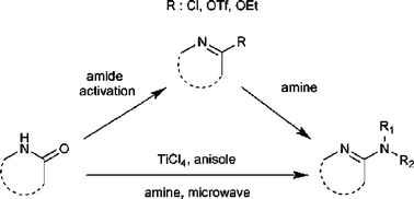 Graphical abstract: Microwave-assisted cyclic amidine synthesis using TiCl4