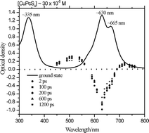 Graphical abstract: Two-photon absorption of copper tetrasulfophthalocyanine induces phototoxicity towards Jurkat cells in vitro