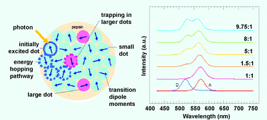 Graphical abstract: Water soluble quantum dot nanoclusters: energy migration in artifical materials