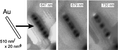 Graphical abstract: Near-field imaging of optical field and plasmon wavefunctions in metal nanoparticles